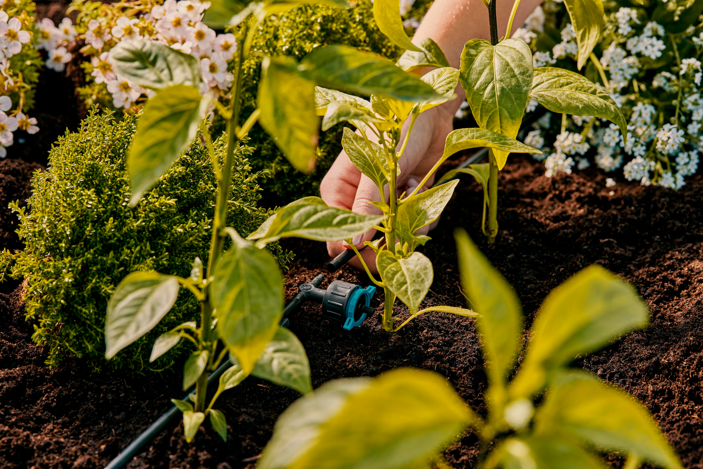 Rivitippusuutin 0-8 l/h Micro-Drip Gardena 5kpl 13314-20