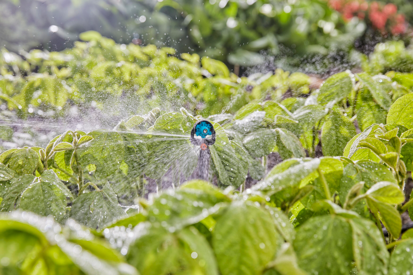 6-kuviosuutin Gardena Micro-Drip-System 5kpl 13324-20