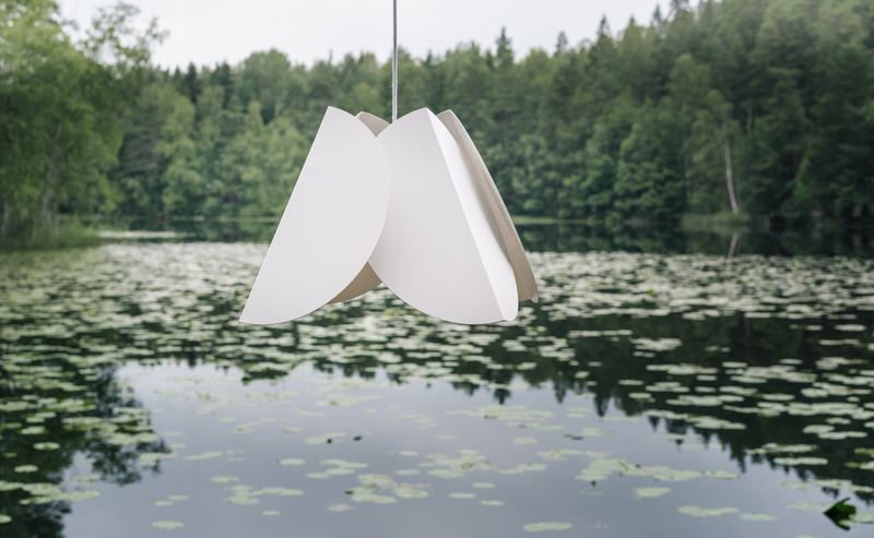 Riippuvalaisin Sessak l Lehmus valkoinen