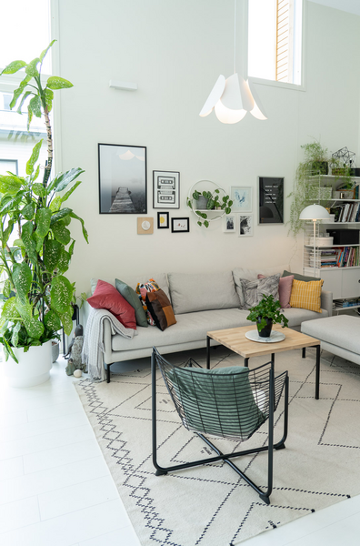 Riippuvalaisin Sessak l Lehmus valkoinen