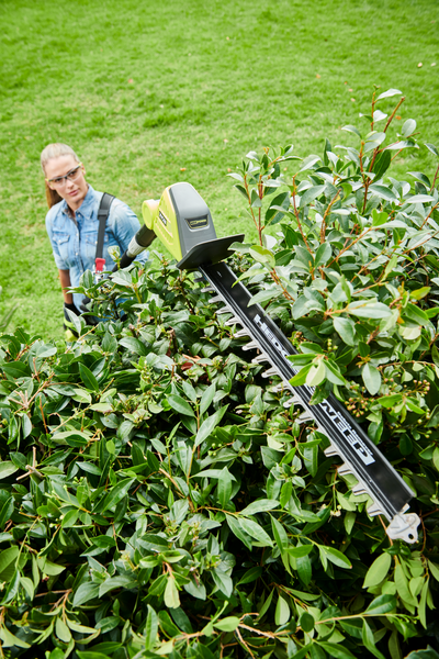 Pensasleikkuri Ryobi RY36PHT50A-0 36V Max Power runko