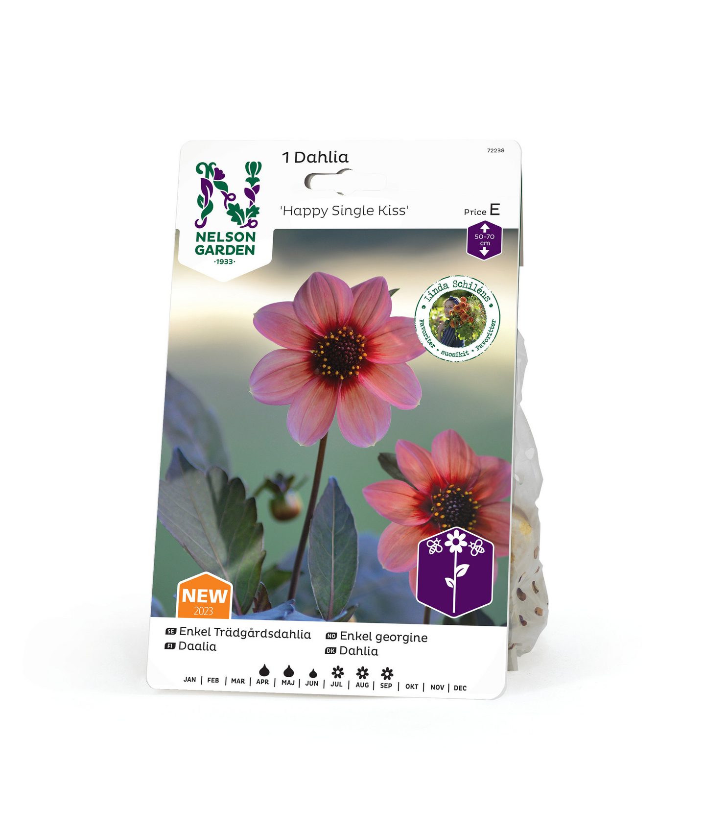 Daalia sipuli Happy Single kiss