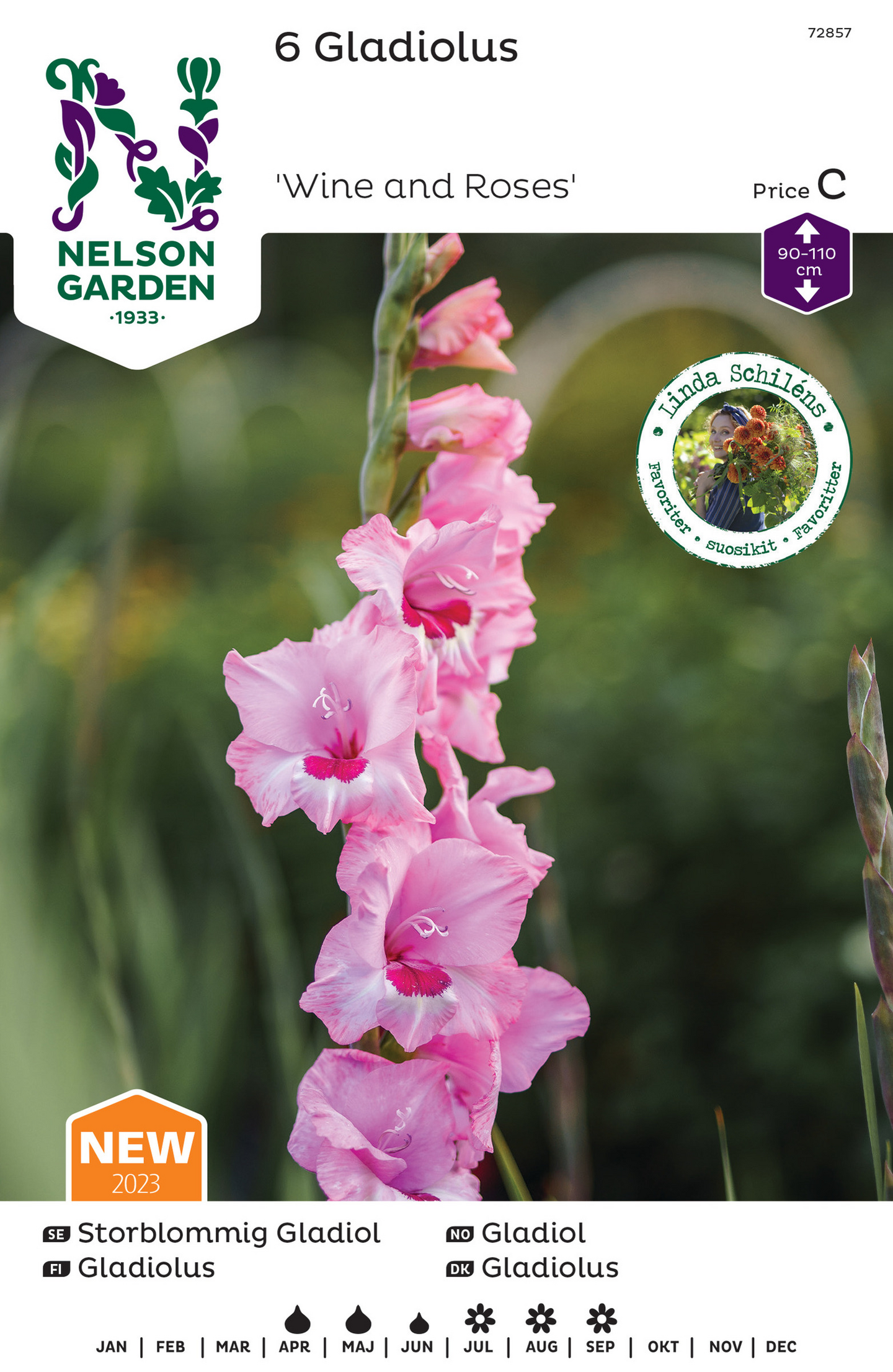 Miekkalilja sipuli Wine and roses 6kpl