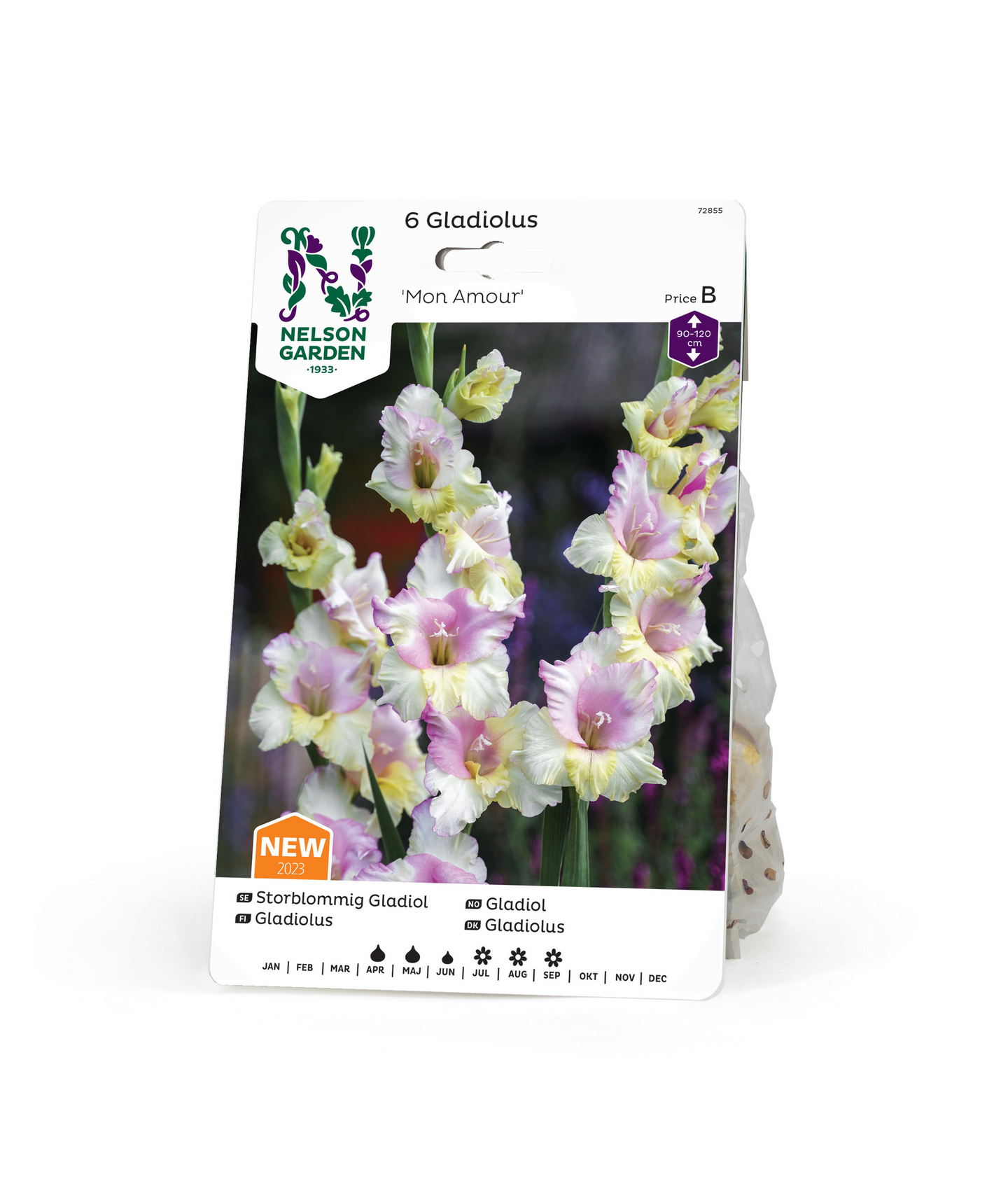 Miekkalilja sipuli Mon amour