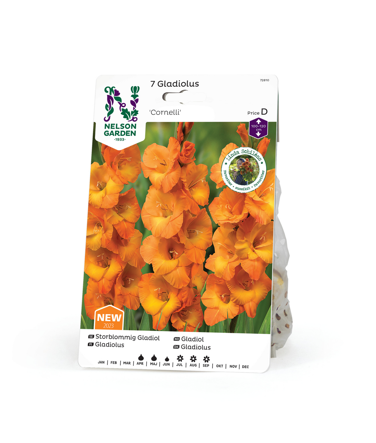 Miekkalilja sipuli Cornelli 7kpl