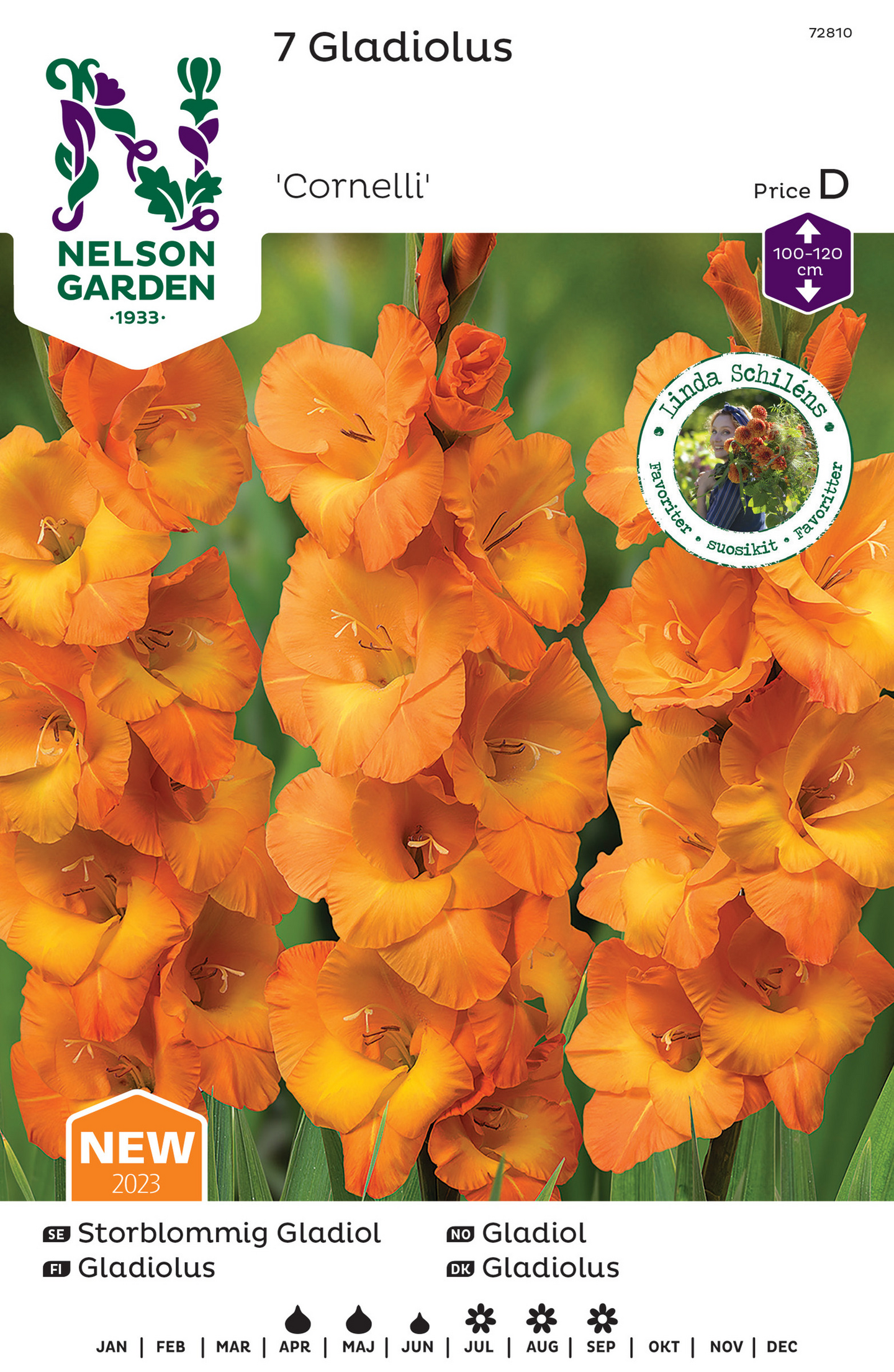 Miekkalilja sipuli Cornelli 7kpl