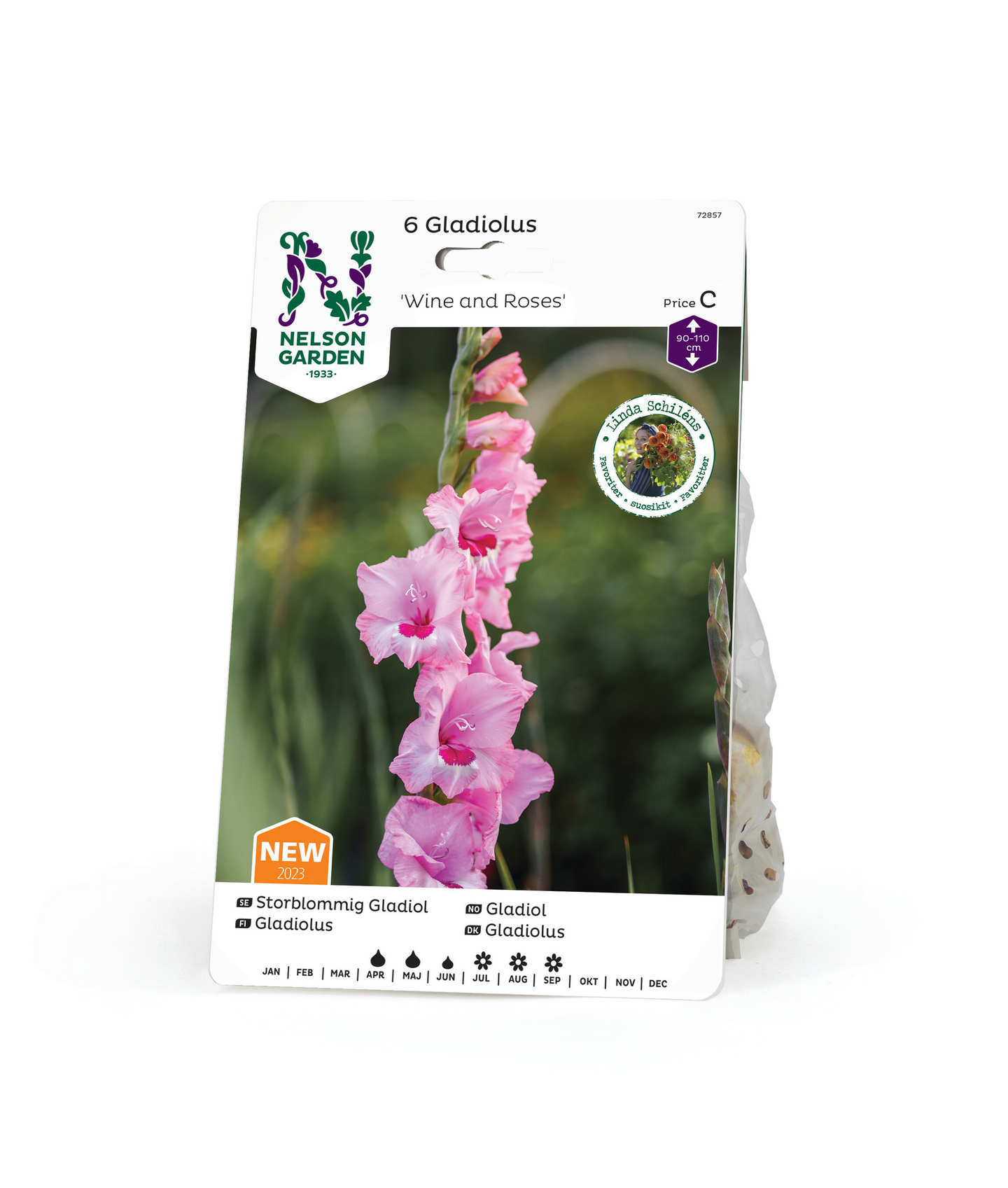 Miekkalilja sipuli Wine and roses 6kpl