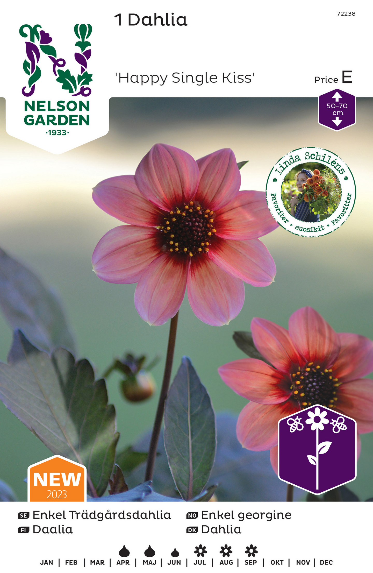 Daalia sipuli Happy Single kiss