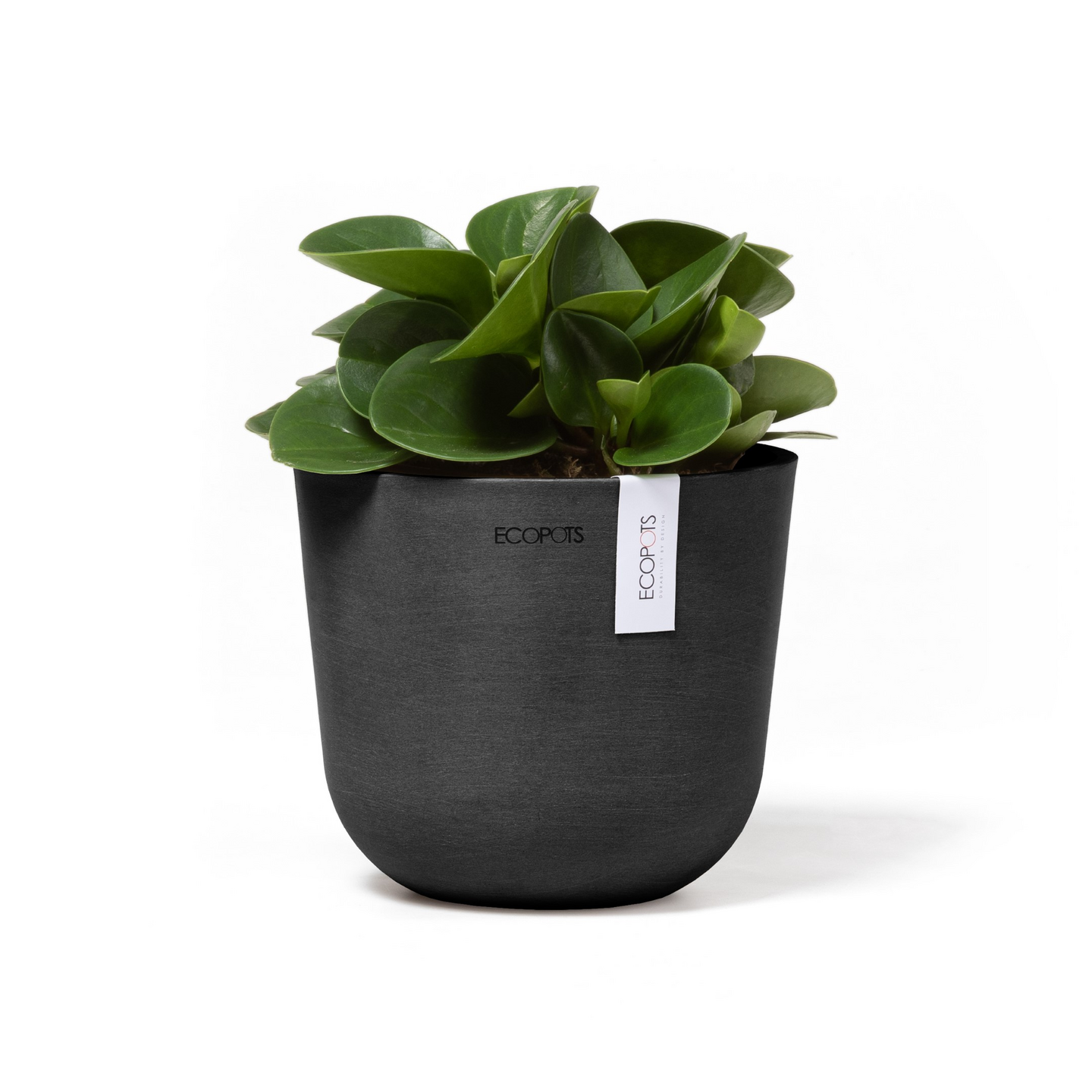 Ruukku Ecopots Oslo mini 16cm tummanharmaa