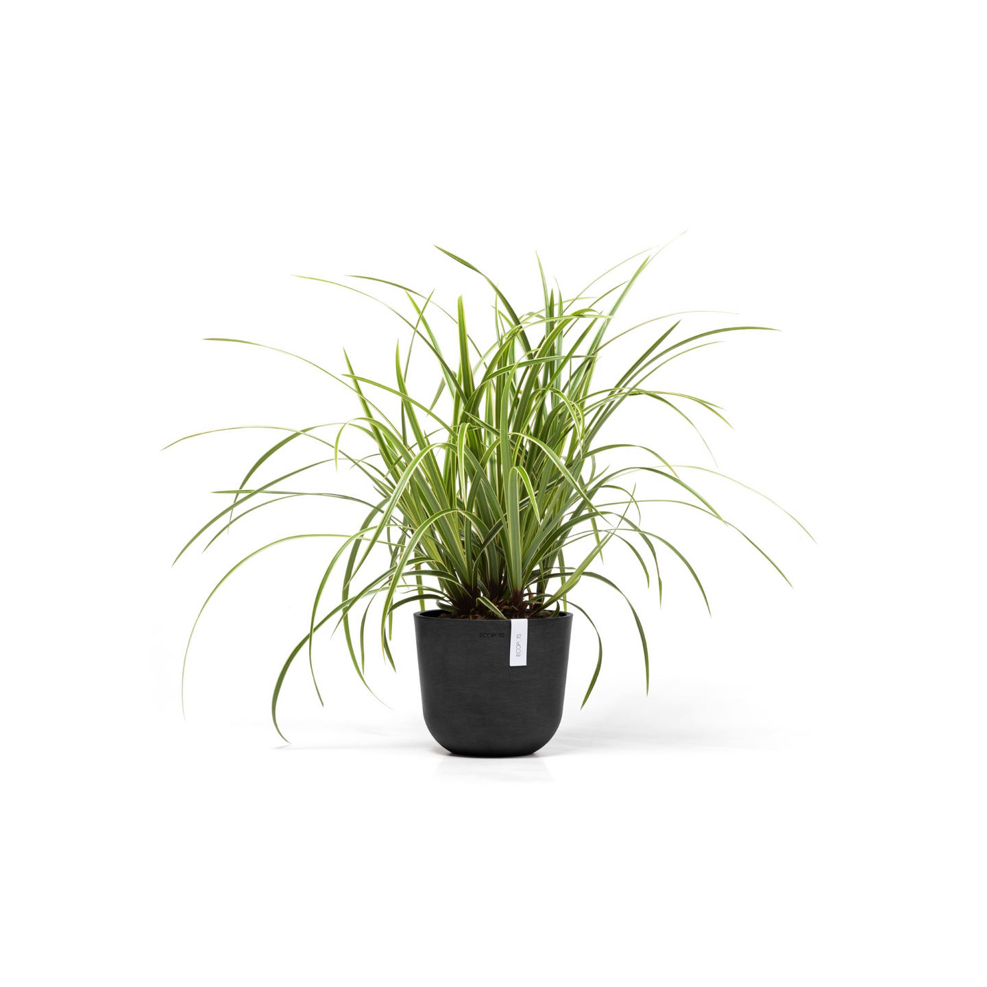 Ruukku Ecopots Oslo mini 19cm tummanharmaa