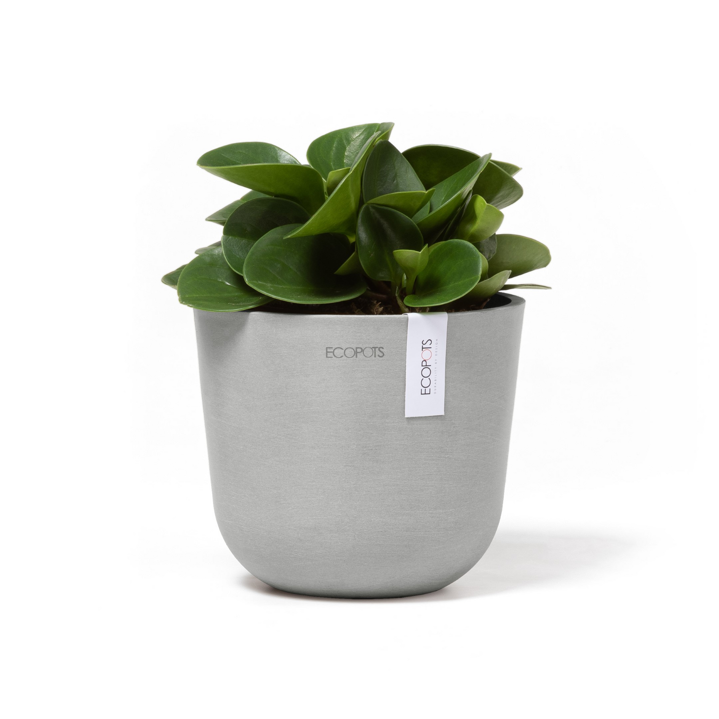 Ruukku Ecopots Oslo mini 16cm valkoharmaa