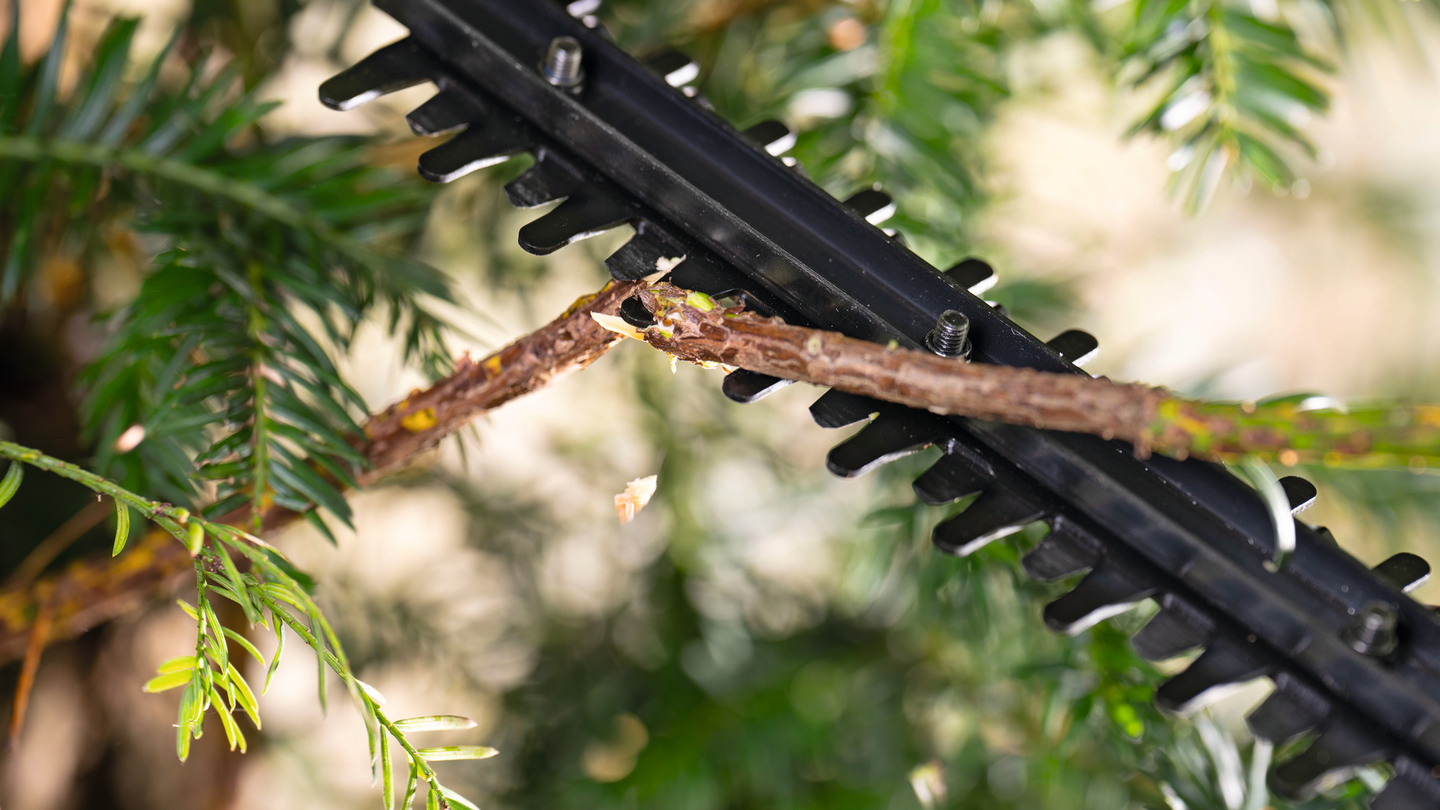 Akkupensasleikkuri Bosch EasyHedgeCut 18-44-11 Solo