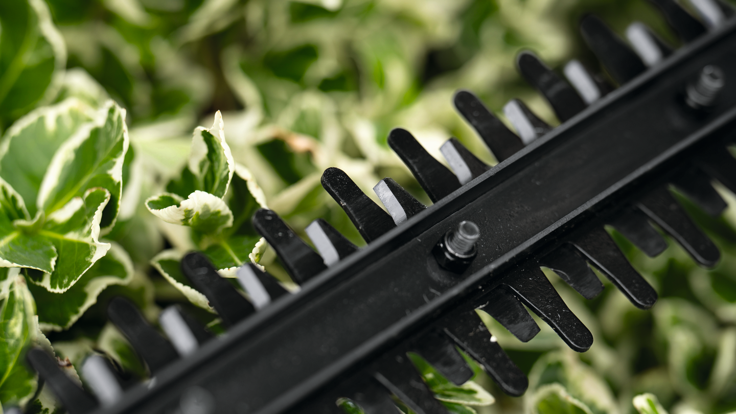 Akkupensasleikkuri Bosch EasyHedgeCut 18-44-11 1x2,0Ah + laturi