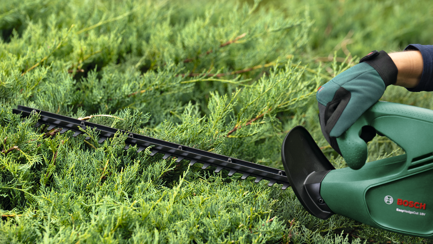 Akkupensasleikkuri Bosch EasyHedgeCut 18-44-11 1x2,0Ah + laturi