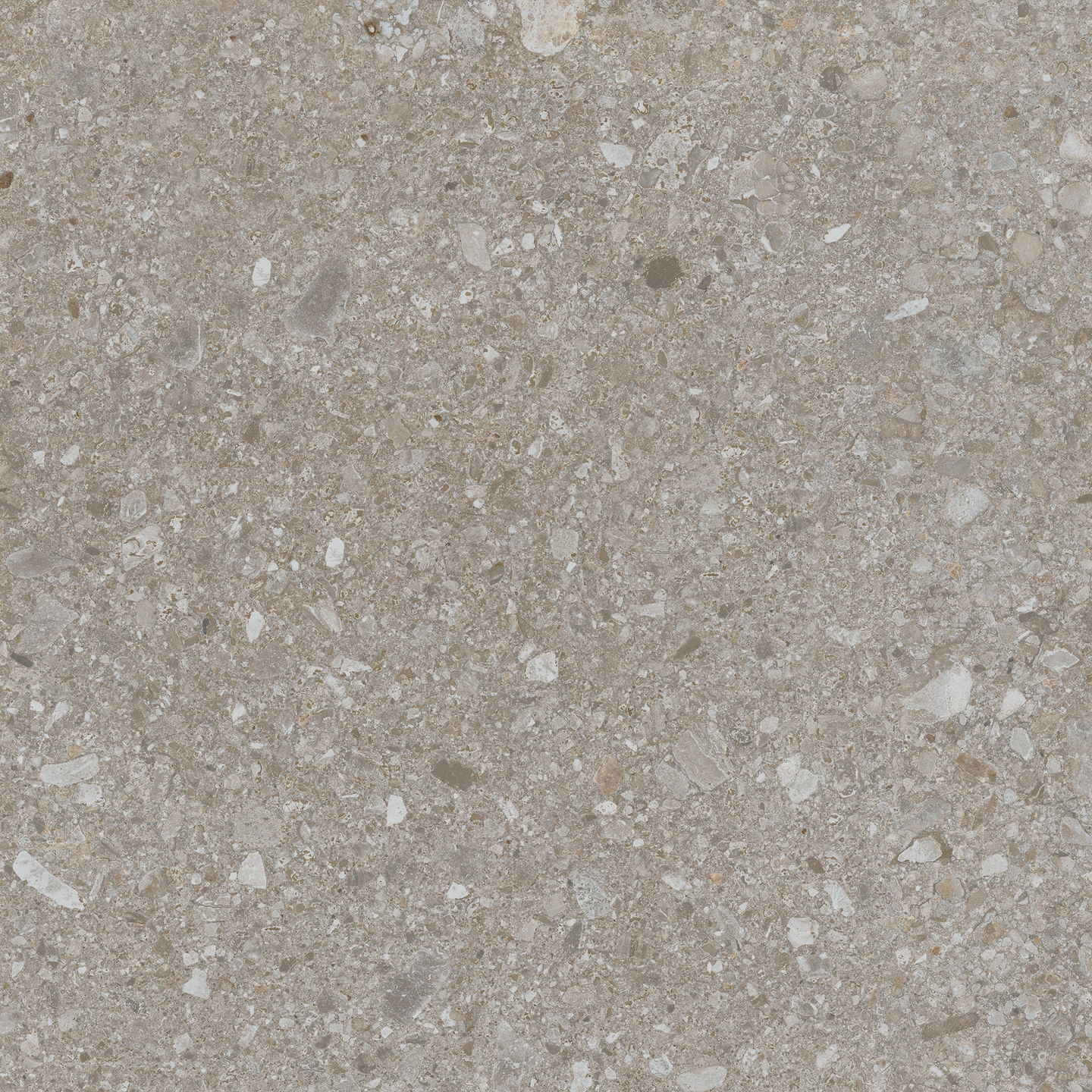 Lattialaatta Cello Ceppo di Gre 60x60 Greige RT 1,08m²