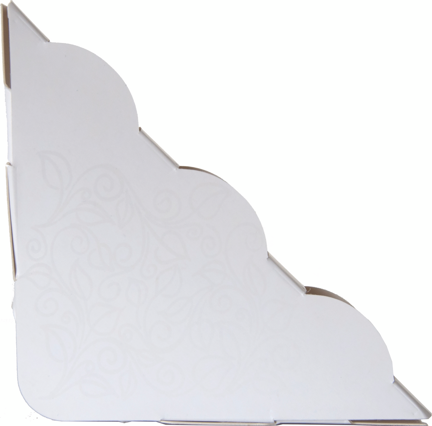 Kärpäsloukku ikkuna 2-pack