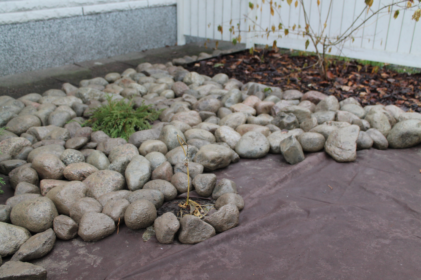 Maisemointikangas Tarha 15m2 ruskea