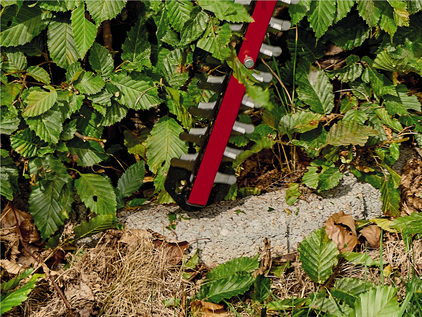 Akkupensasleikkuri Einhell Power X-Change Arcurra 18/55