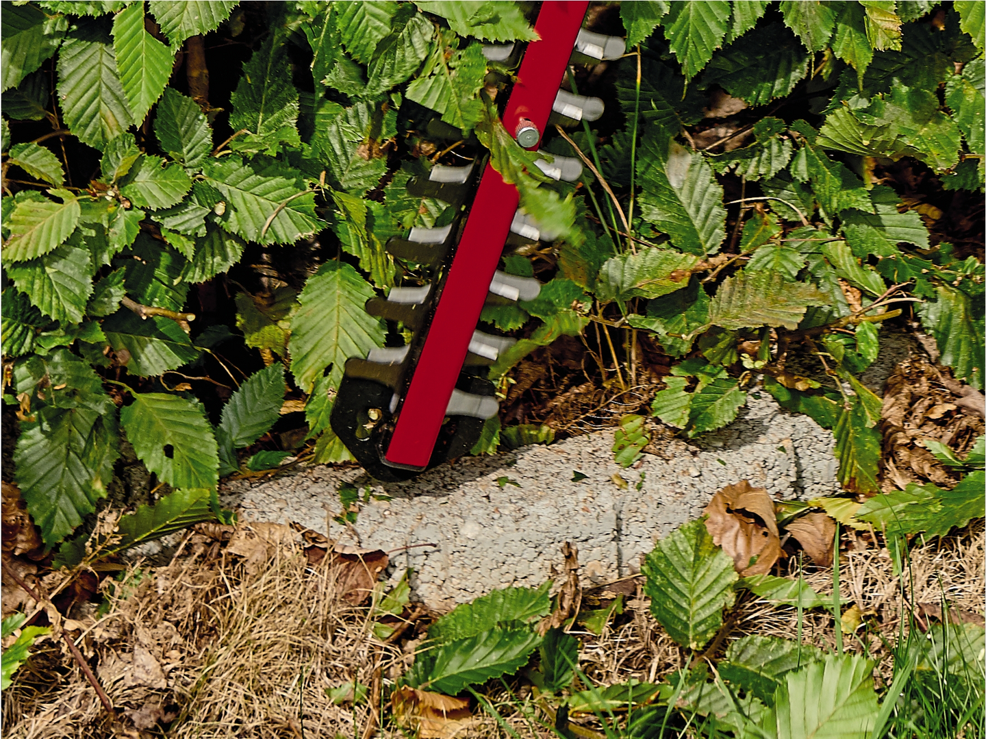 Akkupensasleikkuri Einhell Power X-Change GE-CH 18/60 Li-Solo