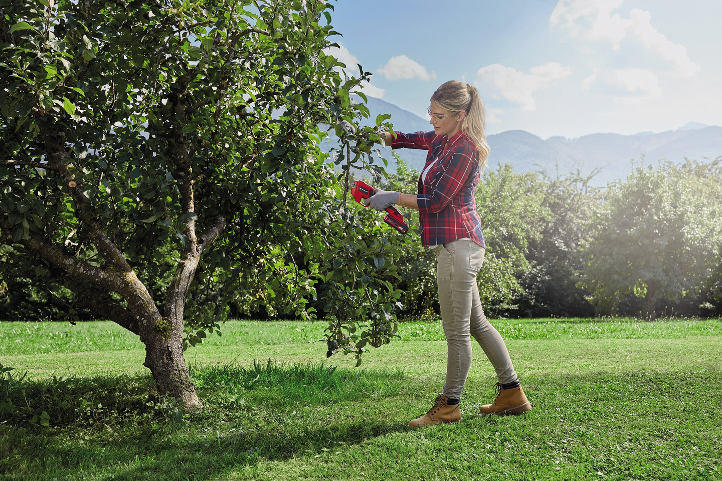 Akkuoksasakset Einhell Power X-Change GE-LS 18 Li-Solo