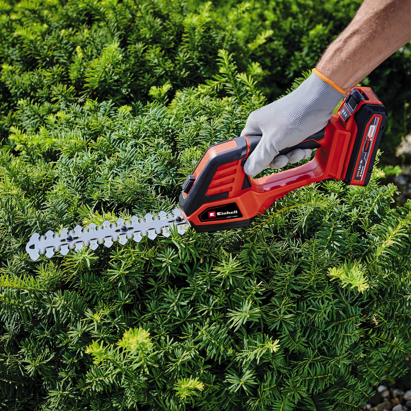 Akkuruohosakset/-pensasleikkuri Einhell Power X-Change GE-CG 18/100 Li T-Solo