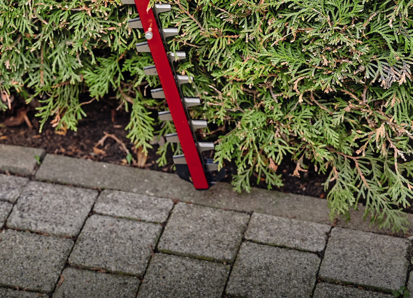 Akkupensasleikkuri Einhell Power X-Change  GE-CH 36/65 Li-Solo