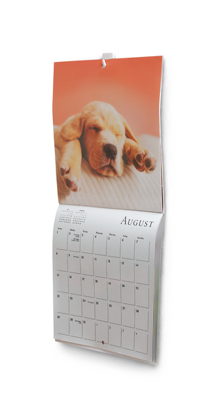 Koukku Command 17066 mini valkoinen