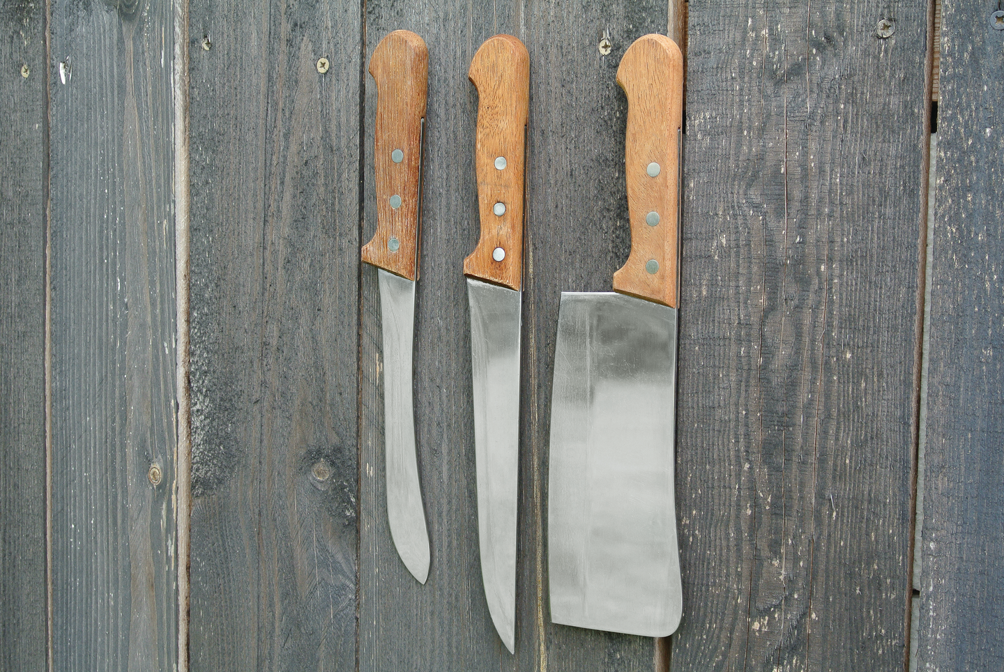 Magneetti Fix-o-moll 5x16mm neodyymi