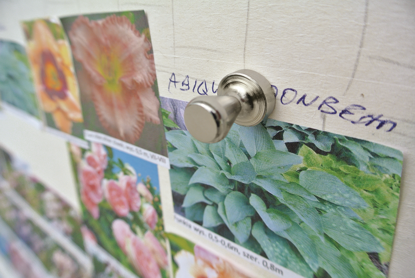 Kartiomagneetti Fix-o-moll 15x21mm neodyymi 2kpl