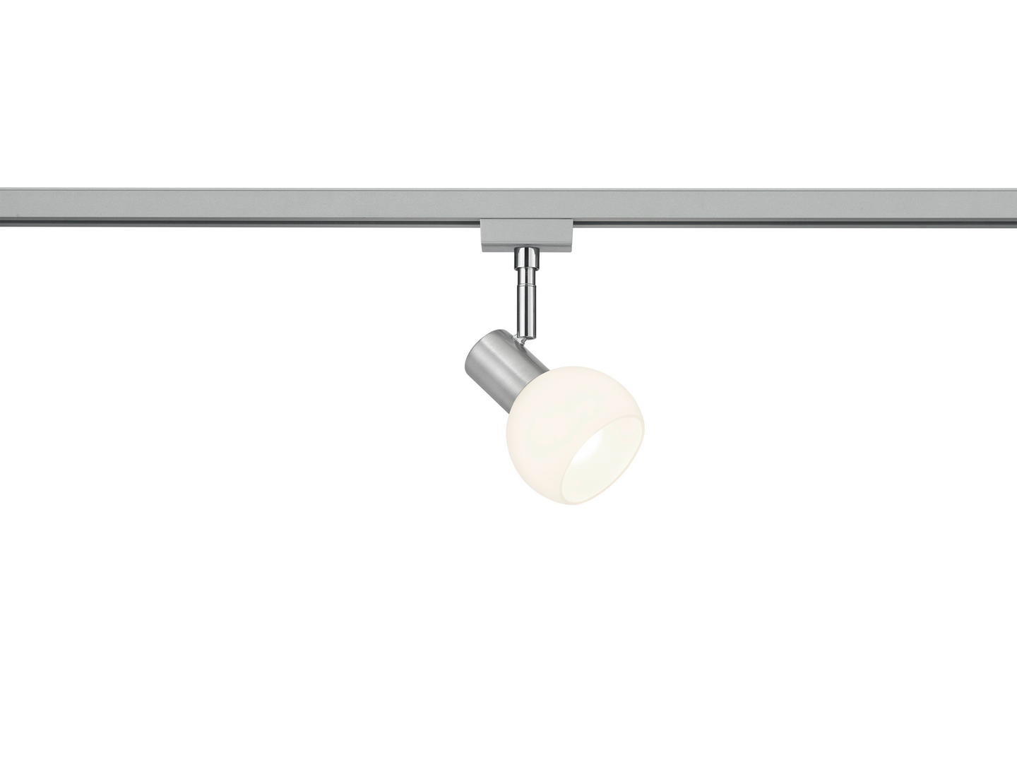 Spottivalaisin TRIO Duoline Antibes E14 1-os harjattu teräs