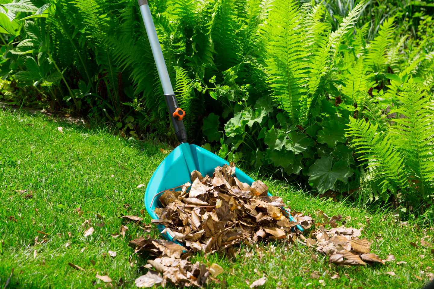 CS-Harava-Lapio Gardena 03120-30