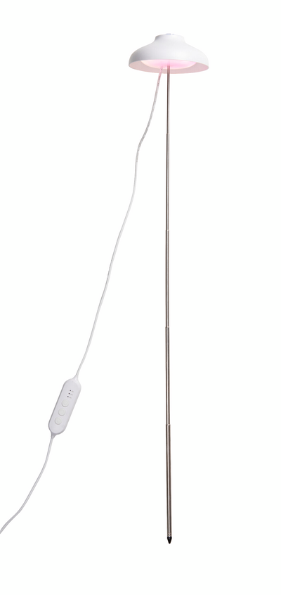 Kasvivalaisin Airam Iris 5W/835 240lm USB valkoinen