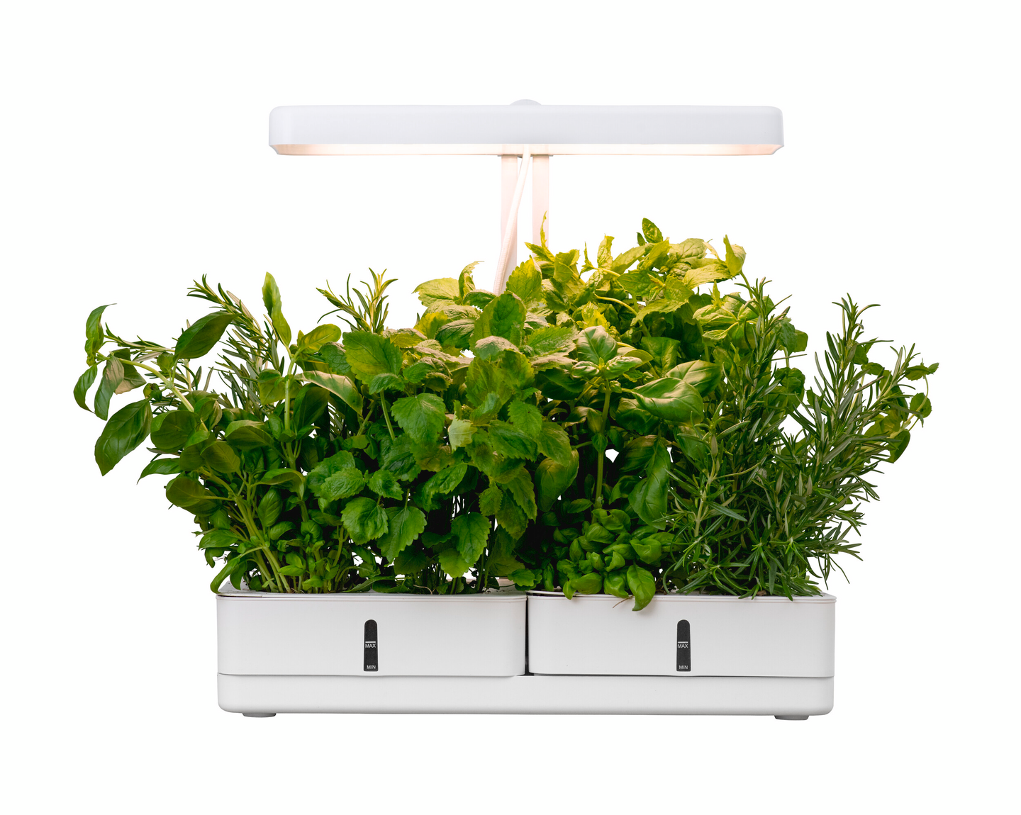 Kasvivalaisin Airam Daisy 1450lm 20W/835