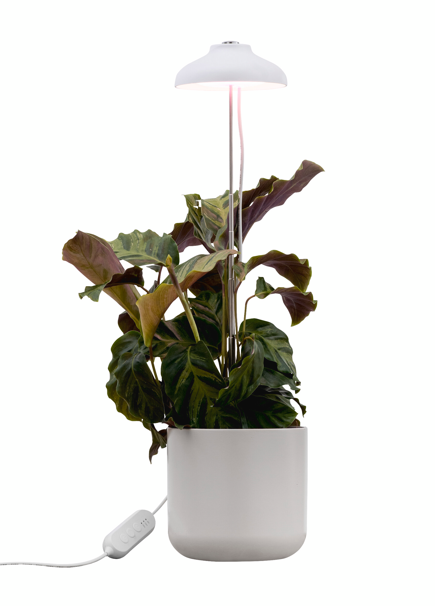 Kasvivalaisin Airam Iris 5W/835 240lm USB valkoinen