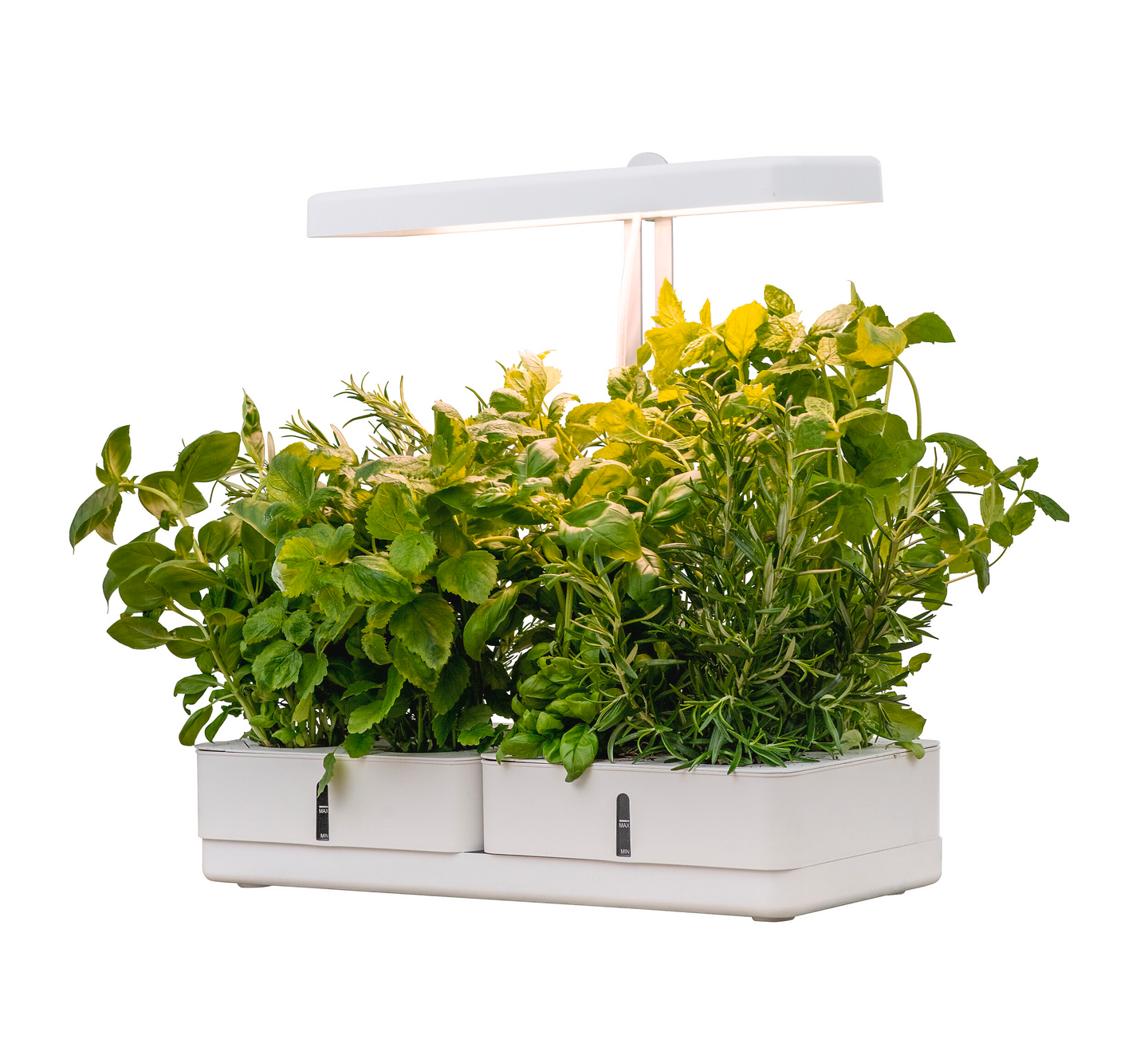 Kasvivalaisin Airam Daisy 1450lm 20W/835