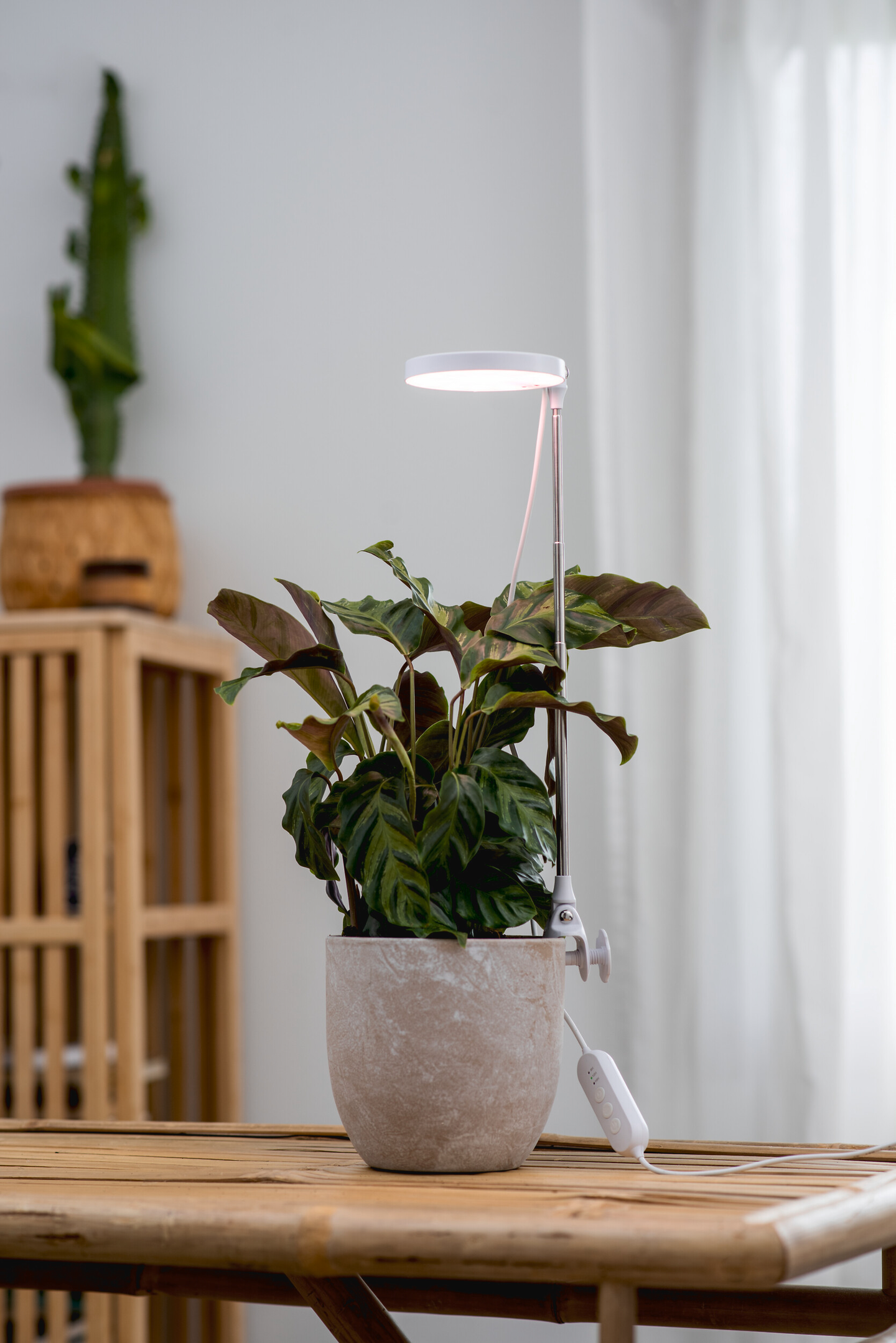 Kasvivalaisin Airam Rose 10W/735 290lm USB