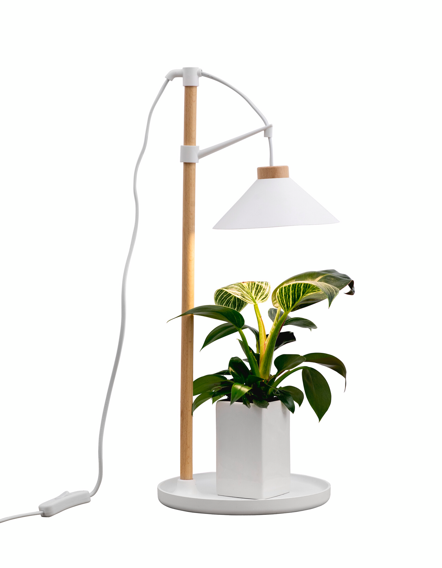 Kasvivalaisin Airam Lily 550lm 9W/940