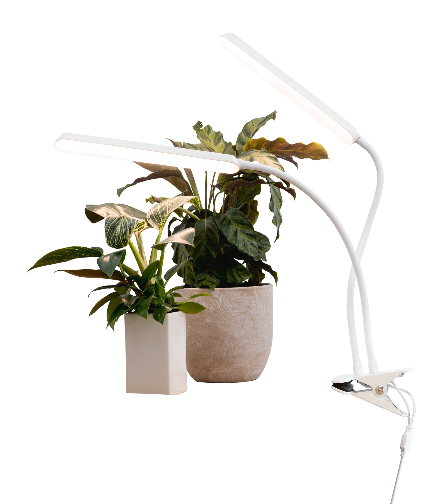 Kasvivalaisin Airam Tulip 780lm 16W/940