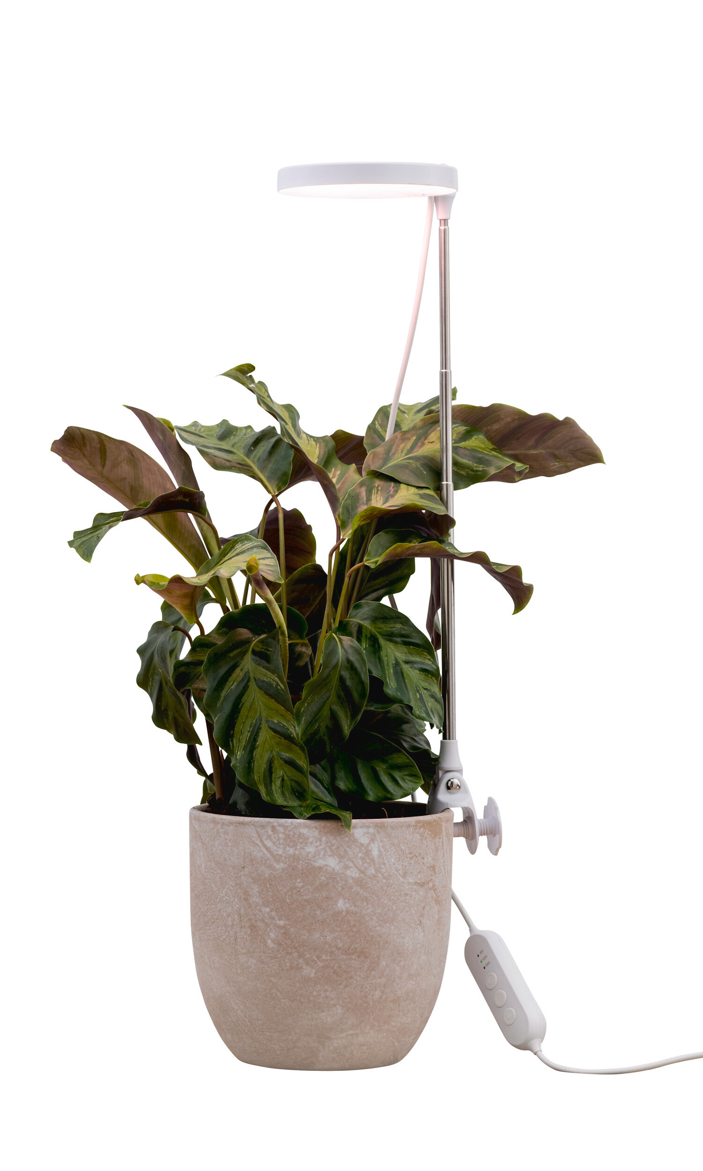 Kasvivalaisin Airam Rose 10W/735 290lm USB