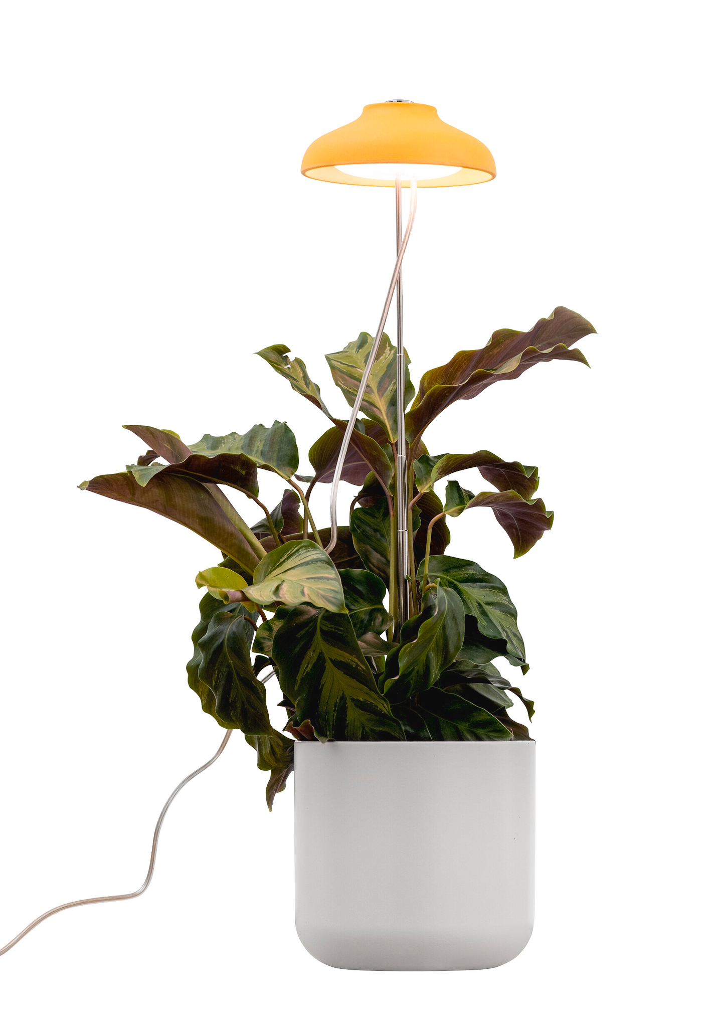 Kasvivalaisin Airam Iris 5W/835 240lm USB keltainen