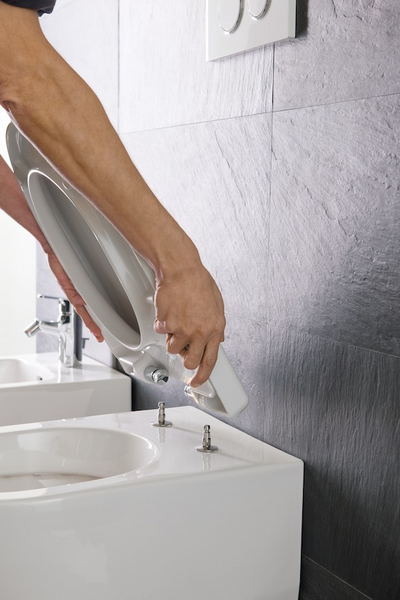 Wc-istuinkansi LAUFEN Pro Design kova SC/QR valkoinen