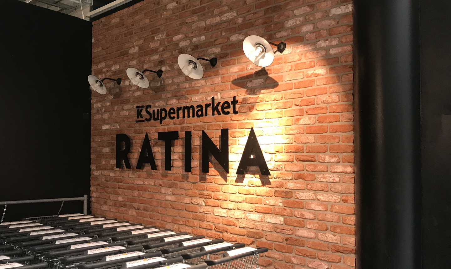 Tiililaatta Wienerberger Retro De Namur 215x65x20 35kpl