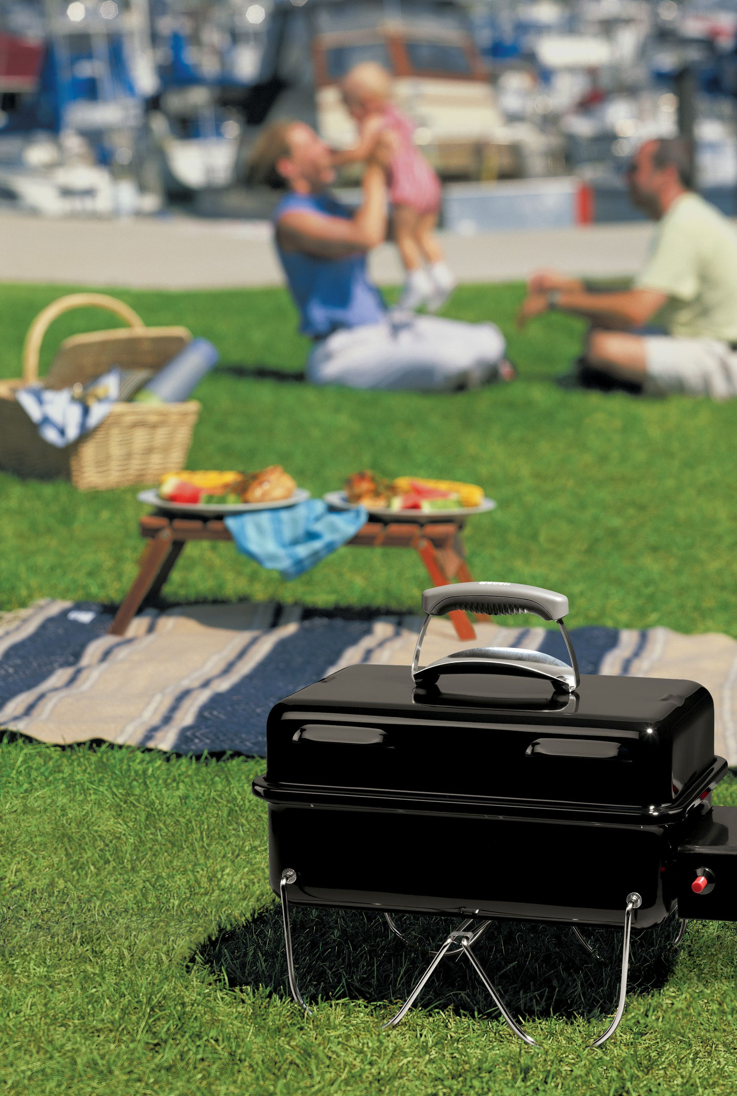 Kaasugrilli Weber go-anywhere 1141068