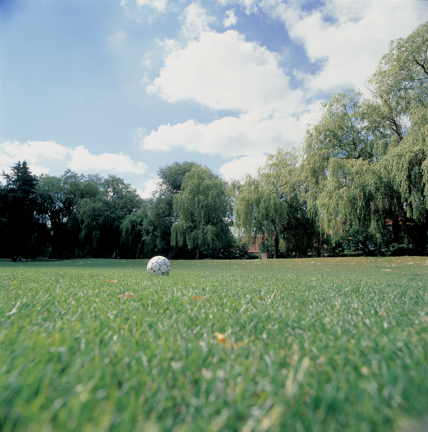 Nurmikkoseos Cello Green 1kg