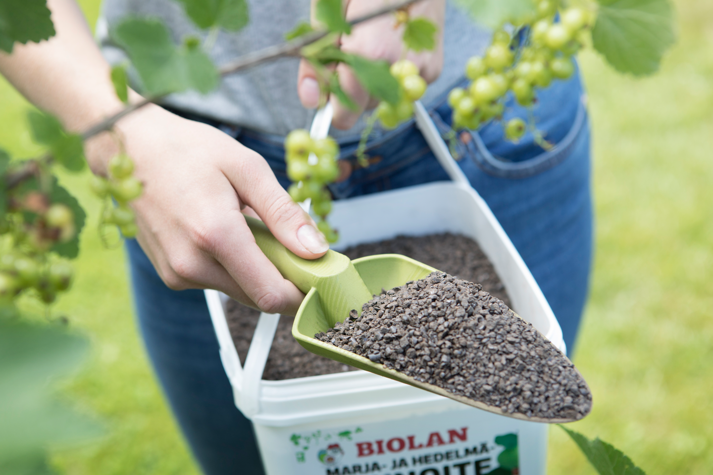 Marja- ja hedelmälannoite Biolan 10l pakki