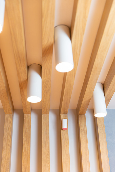 Liiketunnistin Shelly Motion 2 WiFi