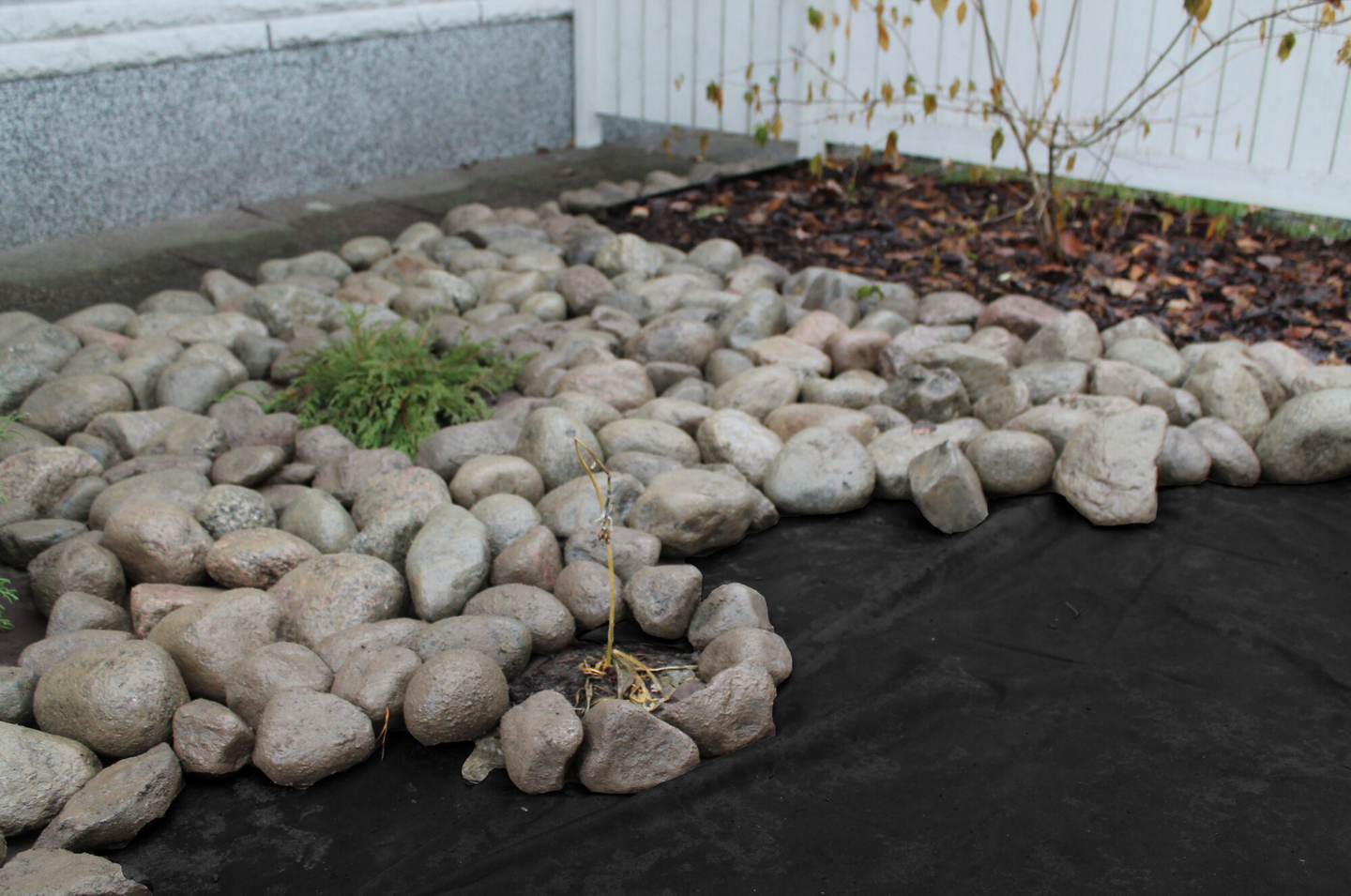 Maisemointikangas Tarha 10m²