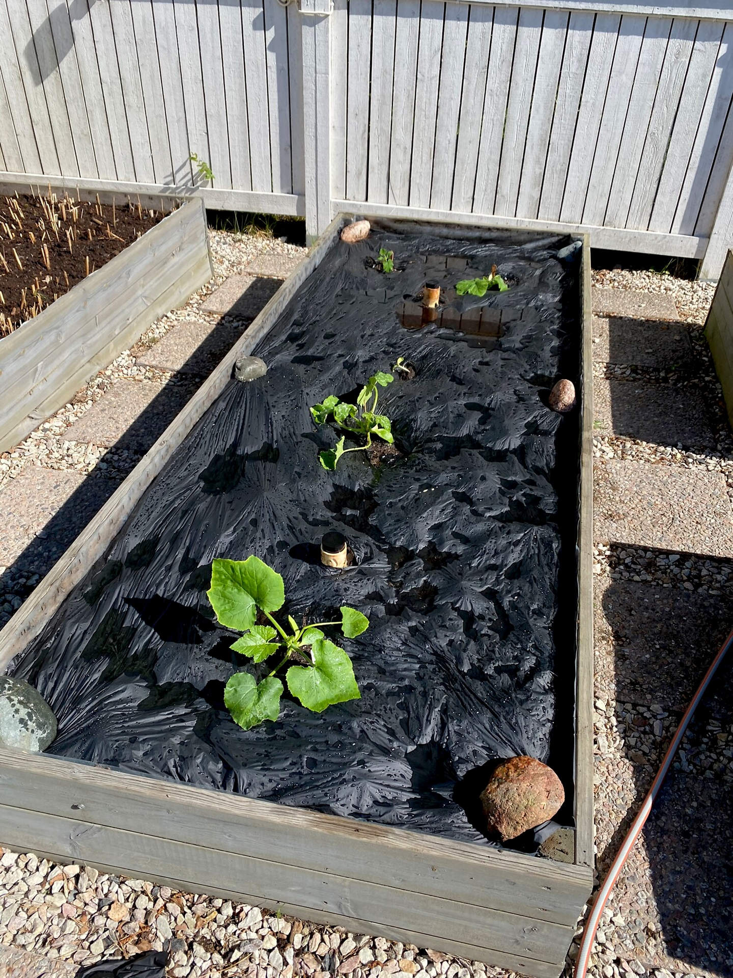 Biohajoava katekalvo Tarha 7m² 1,4x5m