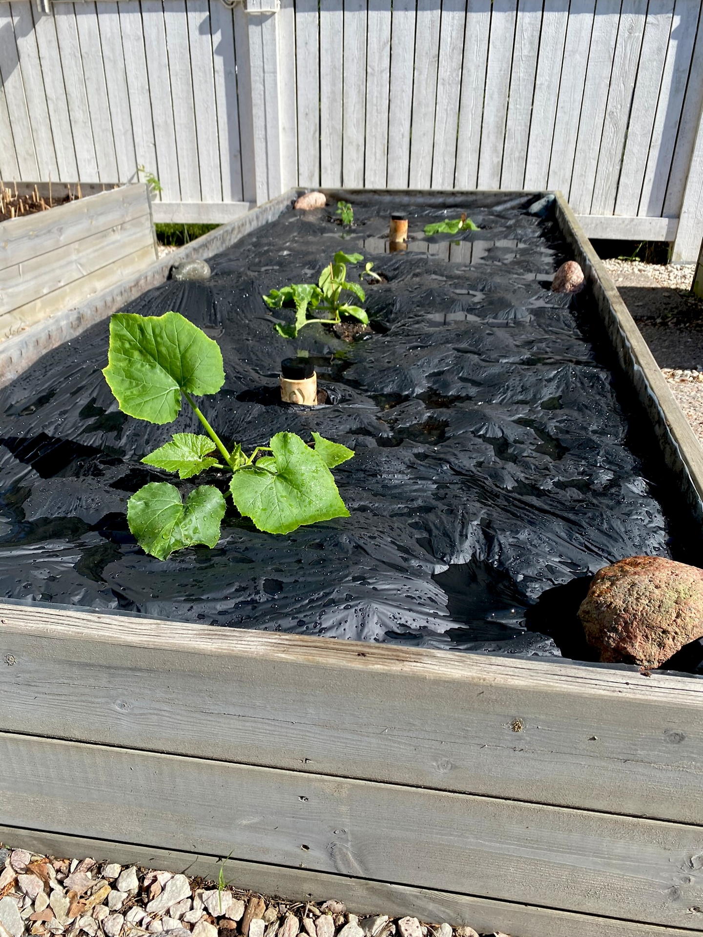 Biohajoava katekalvo Tarha 7m² 1,4x5m