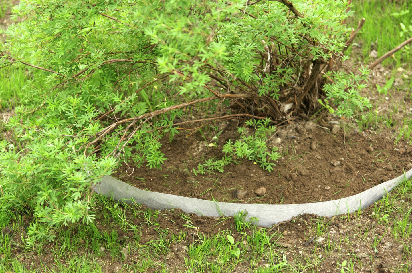 Juurieste Tarha 3m² 1,75x1,75m